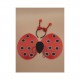 Bumble Ladybird Wings & Deeley Bopper Set