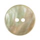 Dyed shell button 12mm