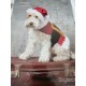 Stylecraft Christmas Dog Coat Pattern 9310