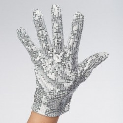 Sequin glove ? Michael Jackson style